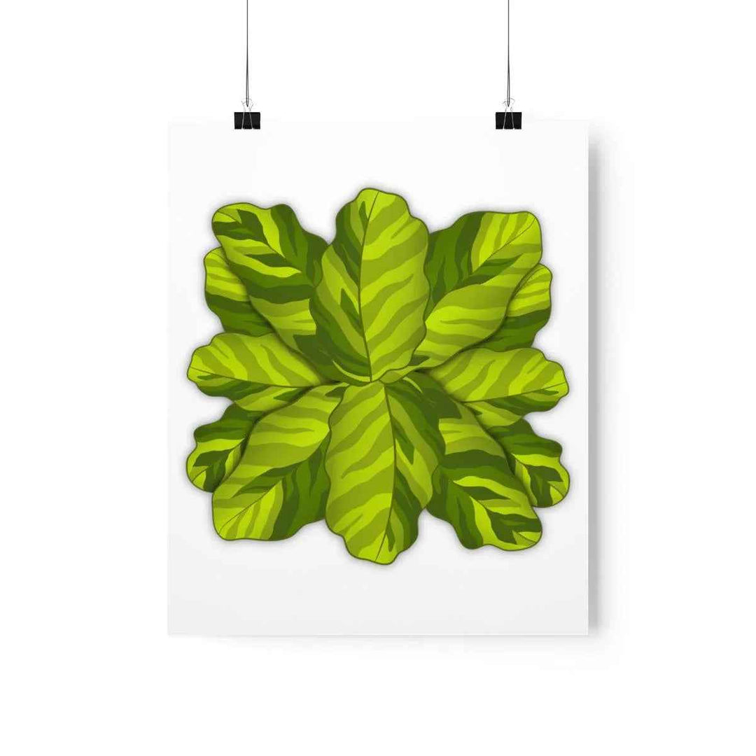 Calathea Yellow Fusion Print – Botanical Wall Art on Museum-Grade Paper Unframed - The Potted Pixel