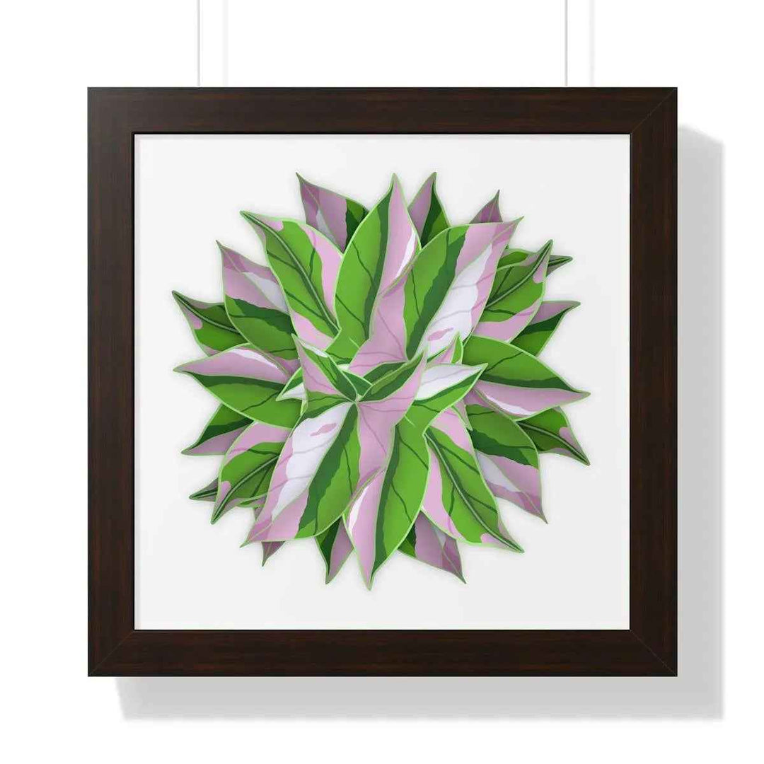 Syngonium Tricolor Print - Framed Botanical Art With Matte Finish & Acrylic Cover - The Potted Pixel