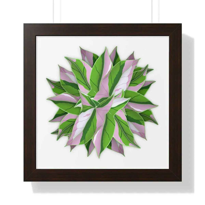 Syngonium Tricolor Print - Framed Botanical Art With Matte Finish & Acrylic Cover - The Potted Pixel