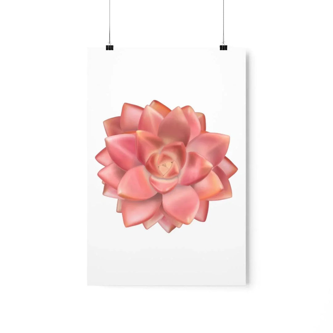 Graptosedum 'California Sunset'  Succulent Print, Poster, Laura Christine Photography & Design, Back to School, Home & Living, Indoor, Matte, Paper, Posters, Valentine's Day promotion, Laura Christine Photography & Design, laurachristinedesign.com