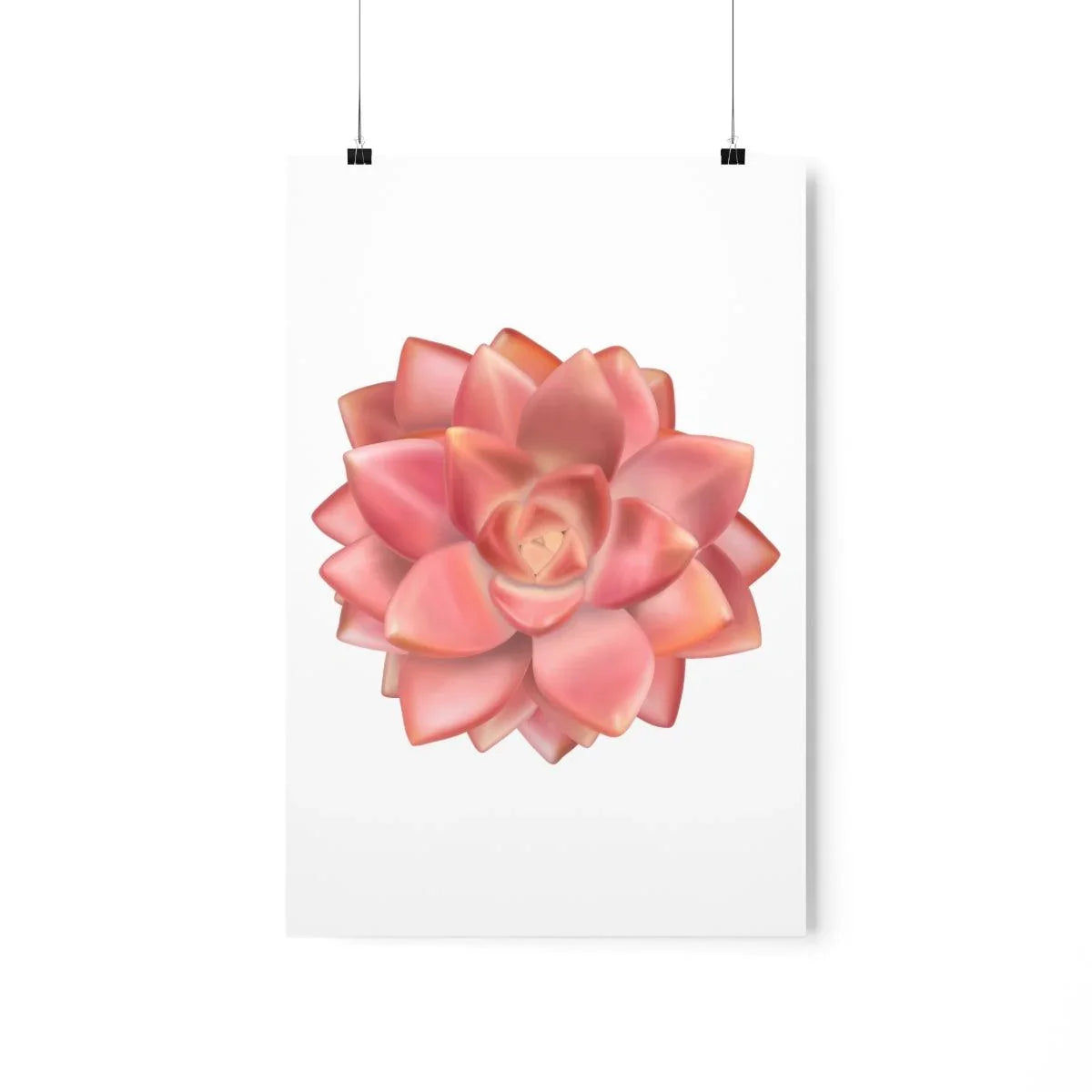 Graptosedum 'California Sunset'  Succulent Print, Poster, Laura Christine Photography & Design, Back to School, Home & Living, Indoor, Matte, Paper, Posters, Valentine's Day promotion, Laura Christine Photography & Design, laurachristinedesign.com