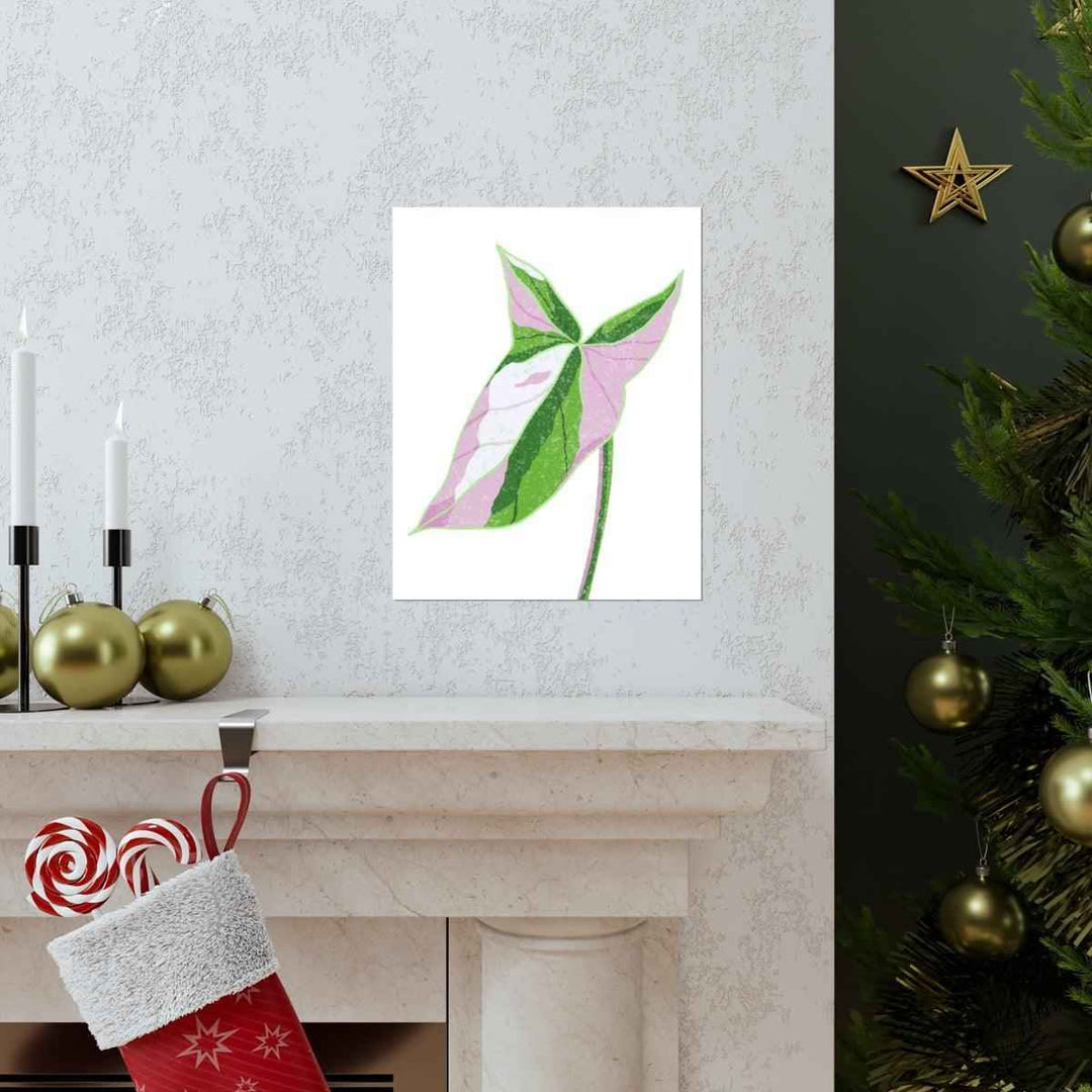Syngonium Tricolor Print – Botanical Wall Art | Variegated Leaf Poster Unframed - The Potted Pixel
