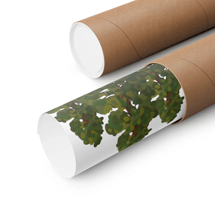 Coastal Redwoods Print On Museum Grade Paper With Archival Ink Unframed Poster For Home Decor