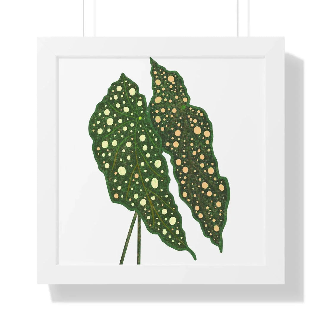 Begonia Maculata Framed Print, Poster, Laura Christine Photography & Design, Framed, Home & Living, Indoor, Paper, Posters, Laura Christine Photography & Design, laurachristinedesign.com