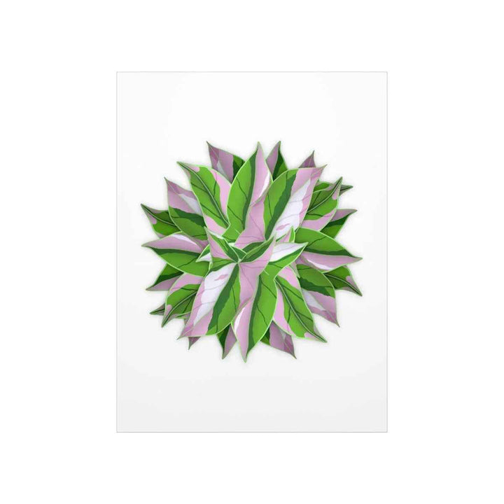 Syngonium Tricolor Botanical Print – Unframed Wall Art - The Potted Pixel
