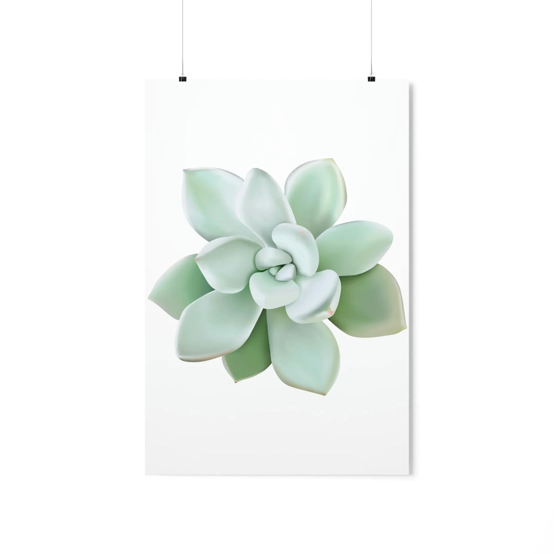Succulent Wall Art Pachyveria Haagei Botanical Poster on Museum Grade Paper for Calm Home Decor