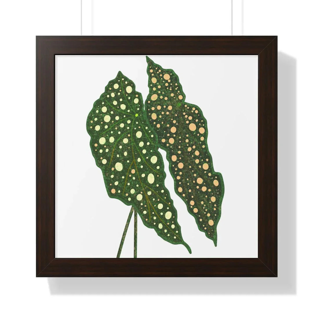 Begonia Maculata Framed Print, Poster, Laura Christine Photography & Design, Framed, Home & Living, Indoor, Paper, Posters, Laura Christine Photography & Design, laurachristinedesign.com