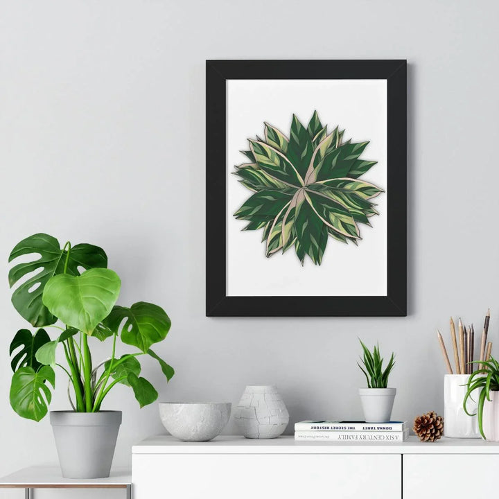 Stromanthe Triostar Framed Print, Poster, Laura Christine Photography & Design, Framed, Home & Living, Indoor, Paper, Posters, Laura Christine Photography & Design, laurachristinedesign.com