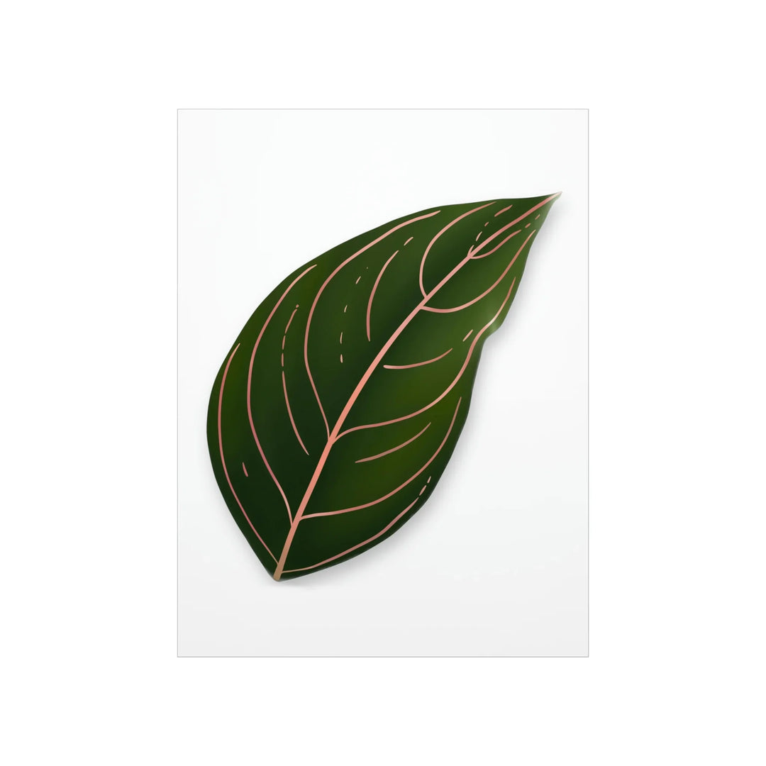 Aglaonema Rotundum Print Botanical Wall Art On Museum Grade Paper Unframed Poster Home Decor