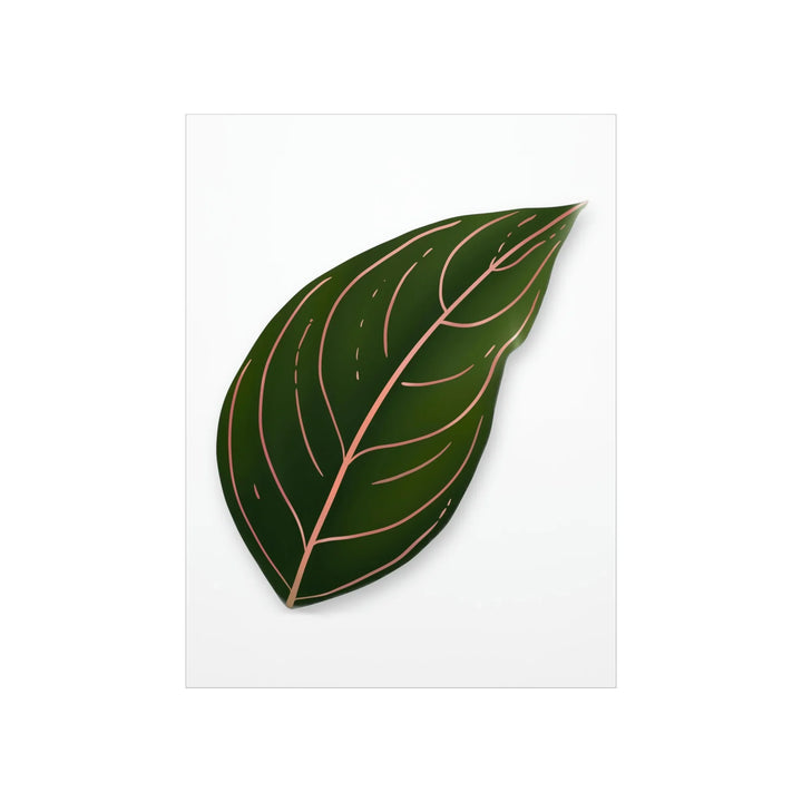 Aglaonema Rotundum Print Botanical Wall Art On Museum Grade Paper Unframed Poster Home Decor