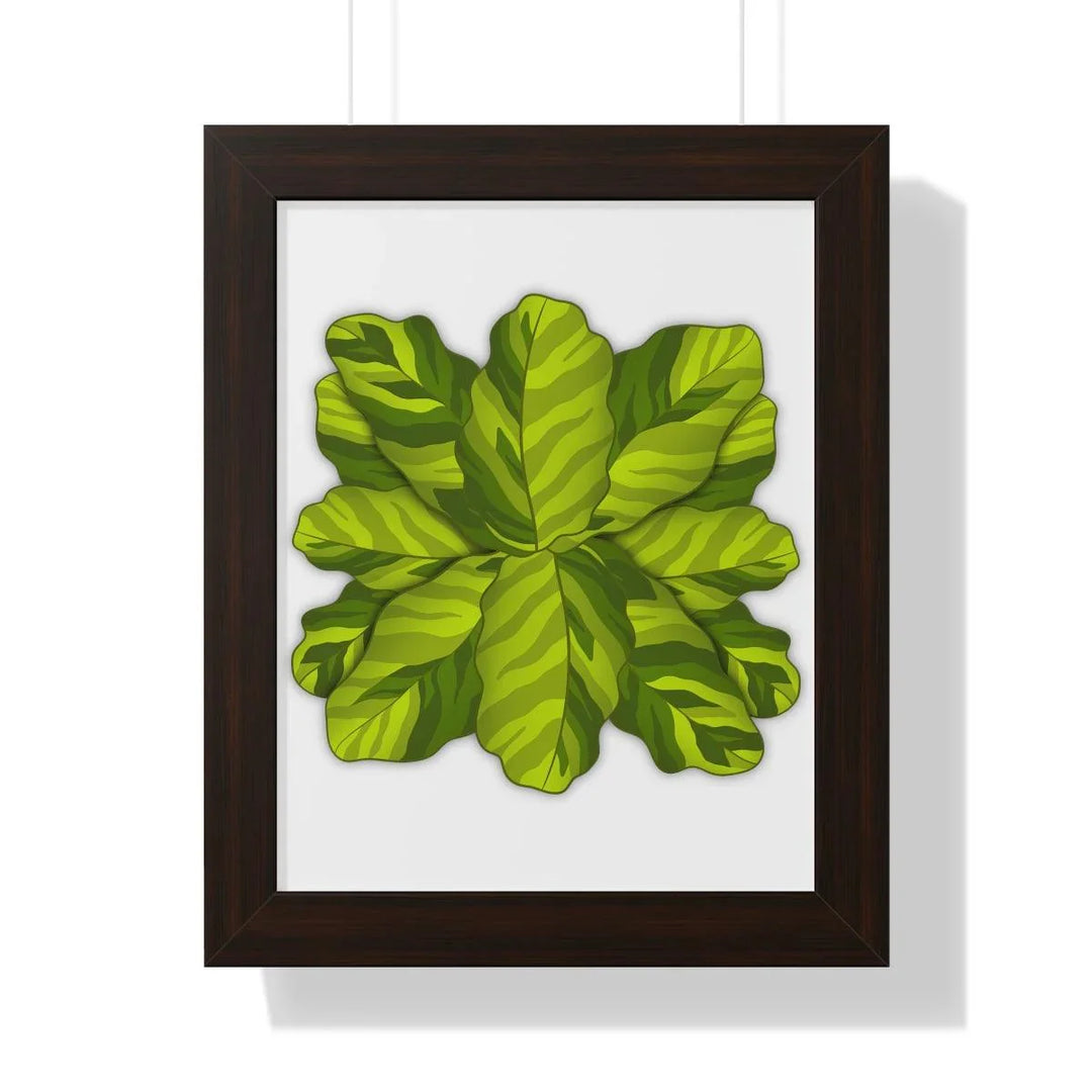 Calathea Yellow Fusion Framed Print, Poster, Laura Christine Photography & Design, Bottle, Calathea, Canvas Bag, Coffee, Drinkware, Framed, Home & Living, Indoor, Paper, Posters, Prayer Plant, Reusable, Shopping Bag, Tea, Tote Bag, Travel, Tumbler, Water, Yellow Fusion, Laura Christine Photography & Design, laurachristinedesign.com