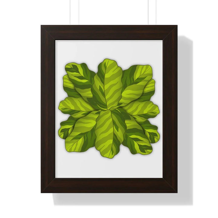 Calathea Yellow Fusion Framed Print, Poster, Laura Christine Photography & Design, Bottle, Calathea, Canvas Bag, Coffee, Drinkware, Framed, Home & Living, Indoor, Paper, Posters, Prayer Plant, Reusable, Shopping Bag, Tea, Tote Bag, Travel, Tumbler, Water, Yellow Fusion, Laura Christine Photography & Design, laurachristinedesign.com