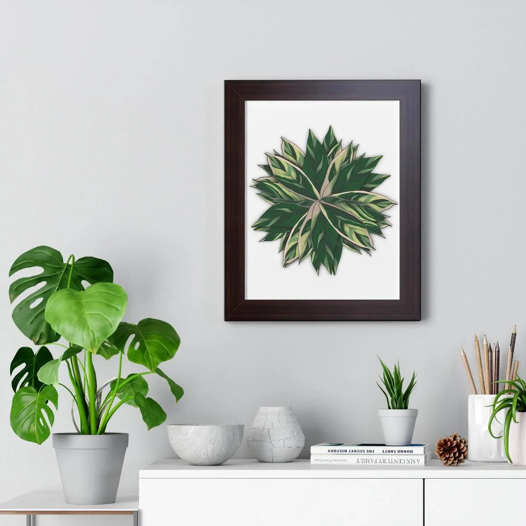 Stromanthe Triostar Framed Print, Poster, Laura Christine Photography & Design, Framed, Home & Living, Indoor, Paper, Posters, Laura Christine Photography & Design, laurachristinedesign.com