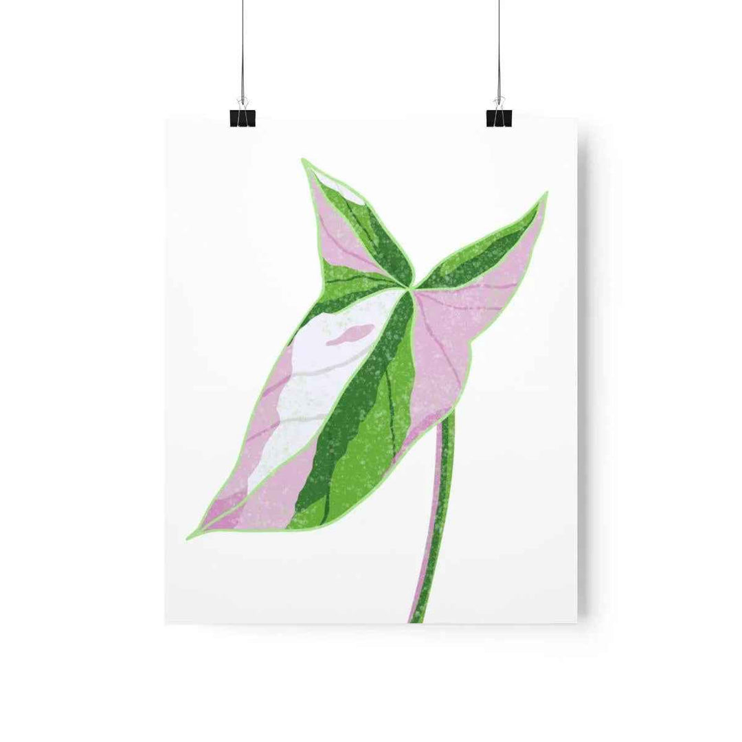 Syngonium Tricolor Print – Botanical Wall Art | Variegated Leaf Poster Unframed - The Potted Pixel