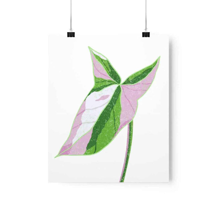 Syngonium Tricolor Print – Botanical Wall Art | Variegated Leaf Poster Unframed - The Potted Pixel