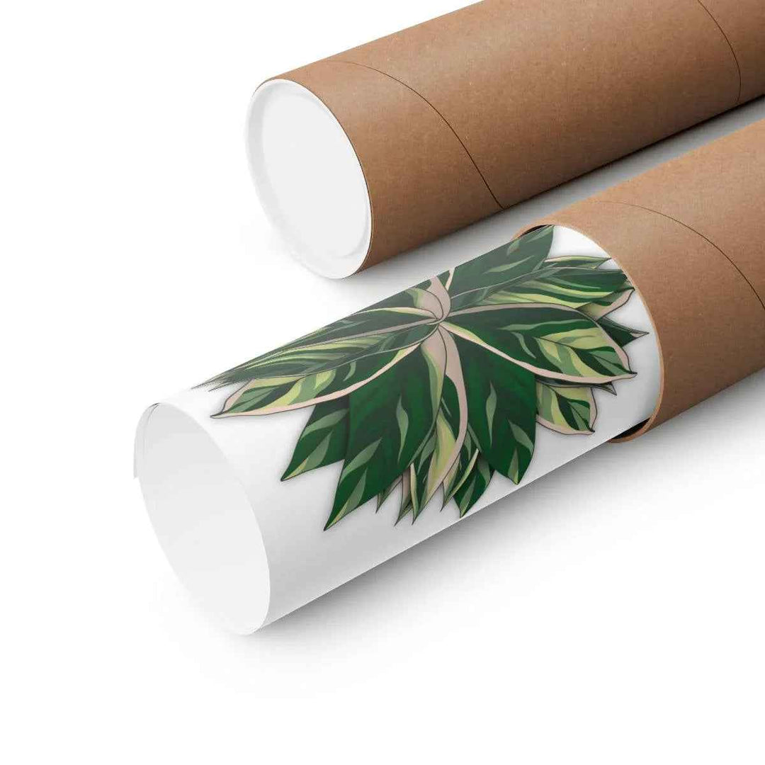 Stromanthe Triostar Print – Tropical Wall Art | Botanical Poster on Museum Grade Paper Unframed - The Potted Pixel