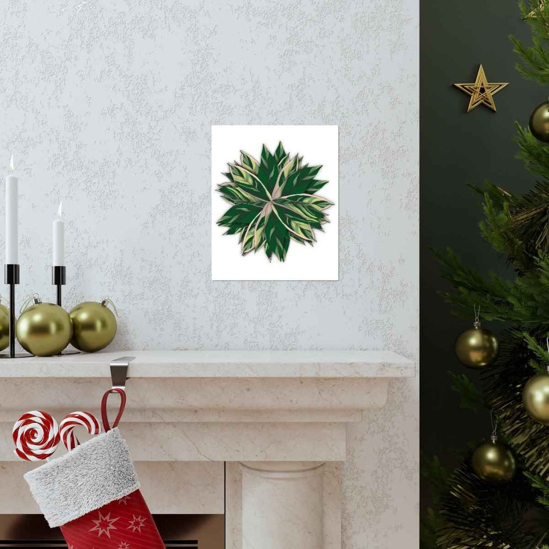 Stromanthe Triostar Print – Tropical Wall Art | Botanical Poster on Museum Grade Paper Unframed - The Potted Pixel