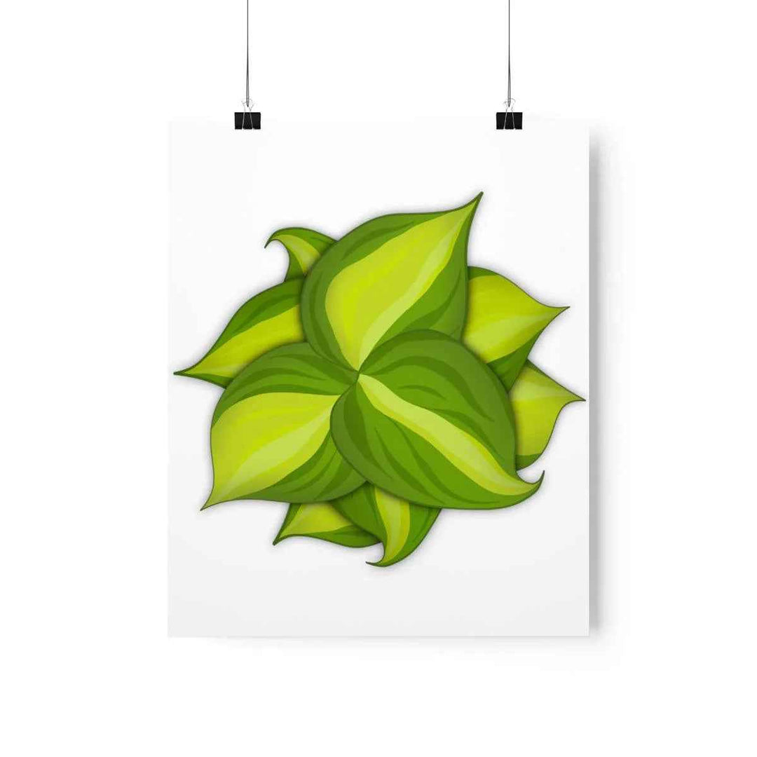 Philodendron Brasil Print – Botanical Wall Art on Museum Grade Paper Poster Unframed - The Potted Pixel