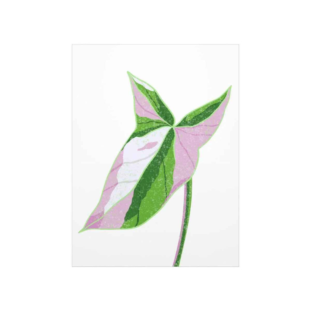 Syngonium Tricolor Print – Botanical Wall Art | Variegated Leaf Poster Unframed - The Potted Pixel