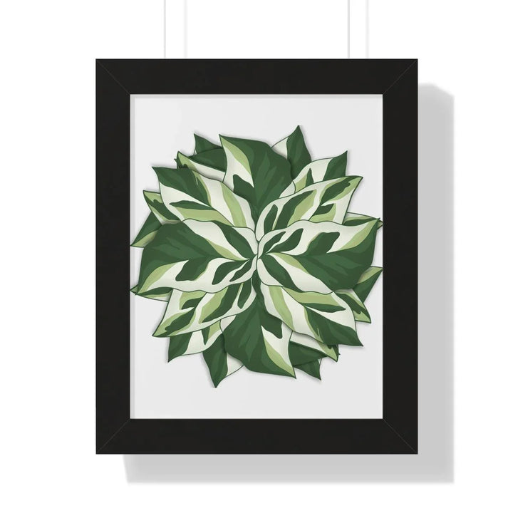 Calathea White Fusion Framed Print, Poster, Laura Christine Photography & Design, Bottle, Calathea, Canvas Bag, Coffee, Drinkware, Framed, Home & Living, Indoor, Paper, Posters, Prayer Plant, Reusable, Shopping Bag, Tea, Tote Bag, Travel, Tumbler, Water, White Fusion, Laura Christine Photography & Design, laurachristinedesign.com