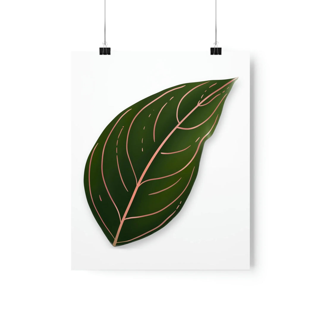 Aglaonema Rotundum Print Botanical Wall Art On Museum Grade Paper Unframed Poster Home Decor