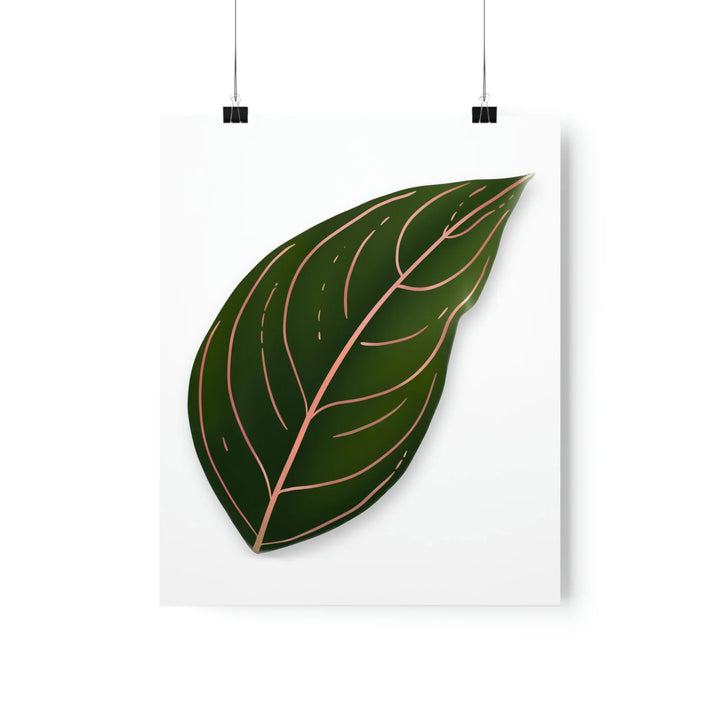 Aglaonema Rotundum Print Botanical Wall Art On Museum Grade Paper Unframed Poster Home Decor