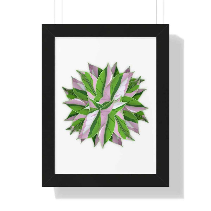 Syngonium Tricolor Print - Framed Botanical Art With Matte Finish & Acrylic Cover - The Potted Pixel