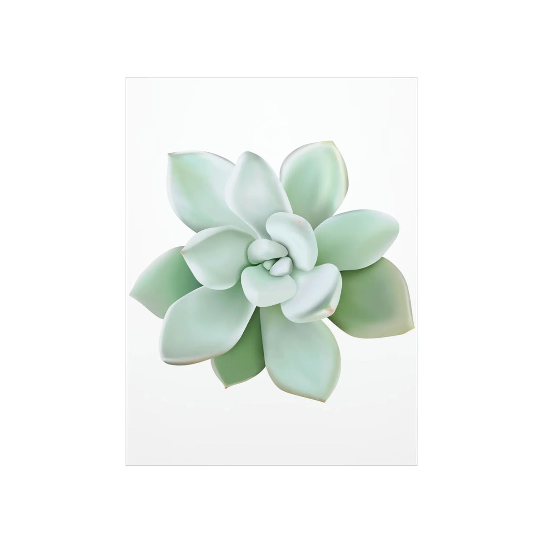 Succulent Wall Art Pachyveria Haagei Botanical Poster on Museum Grade Paper for Calm Home Decor