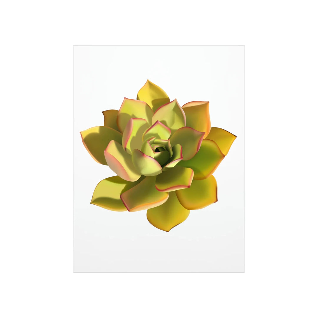 Noble Aeonium Print Vibrant Succulent Wall Art on Museum Grade Paper Poster Unframed