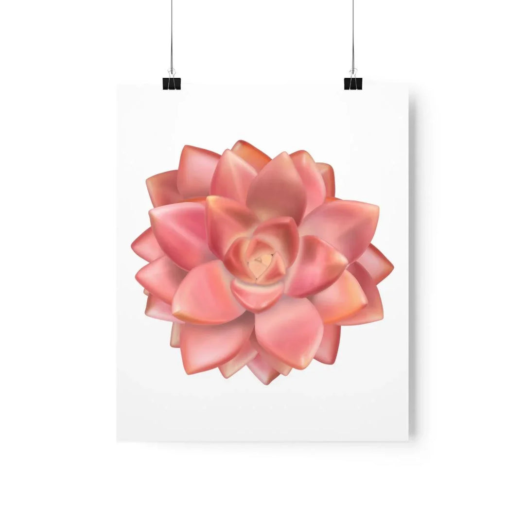 Graptosedum 'California Sunset'  Succulent Print, Poster, Laura Christine Photography & Design, Back to School, Home & Living, Indoor, Matte, Paper, Posters, Valentine's Day promotion, Laura Christine Photography & Design, laurachristinedesign.com