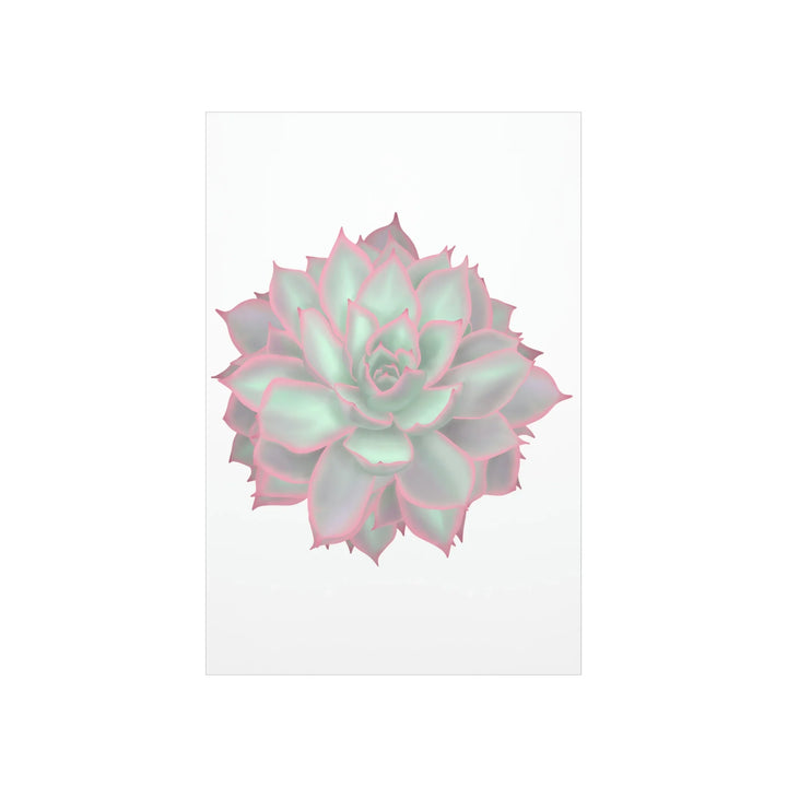 Echeveria Violet Queen Print Succulent Wall Art Botanical Poster On Museum Grade Paper For Indoor Plant Decor