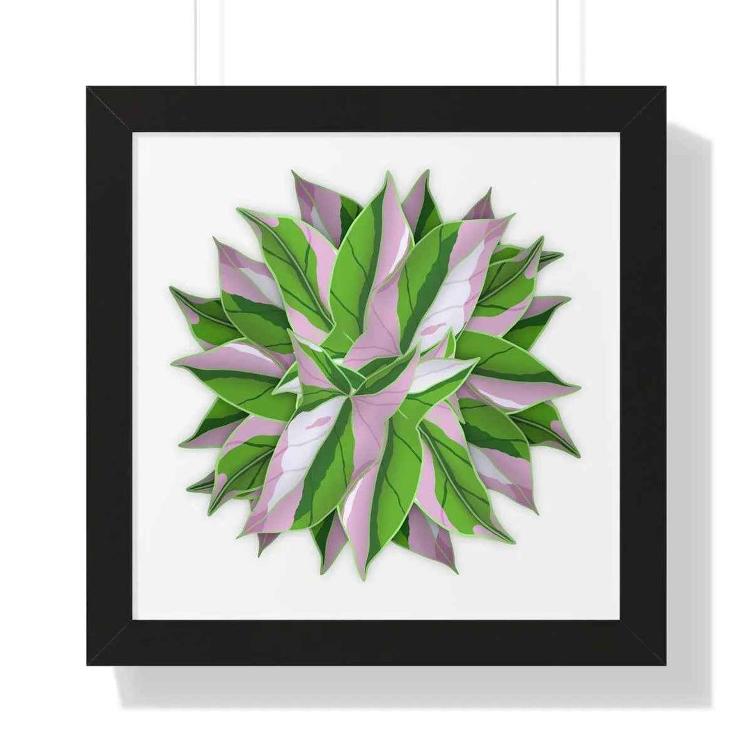 Syngonium Tricolor Print - Framed Botanical Art With Matte Finish & Acrylic Cover - The Potted Pixel
