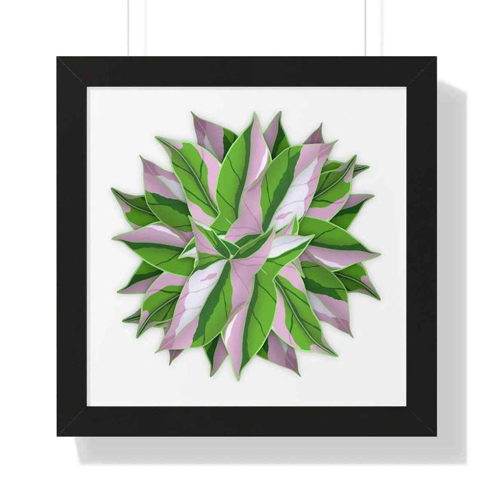 Syngonium Tricolor Print - Framed Botanical Art With Matte Finish & Acrylic Cover - The Potted Pixel