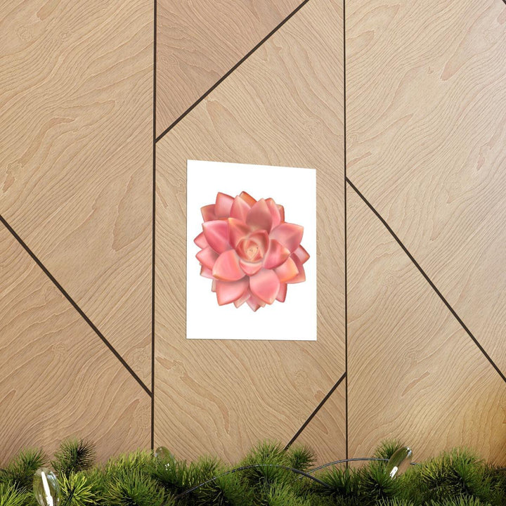 Graptosedum 'California Sunset'  Succulent Print, Poster, Laura Christine Photography & Design, Back to School, Home & Living, Indoor, Matte, Paper, Posters, Valentine's Day promotion, Laura Christine Photography & Design, laurachristinedesign.com