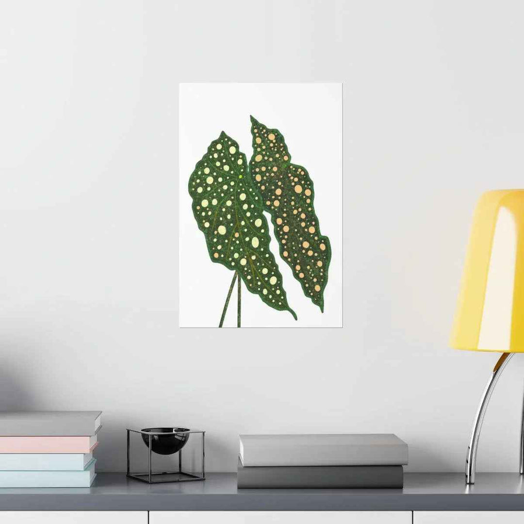 Begonia Maculata Print - Botanical Wall Art on Museum Grade Paper | Matte Finish Unframed - The Potted Pixel