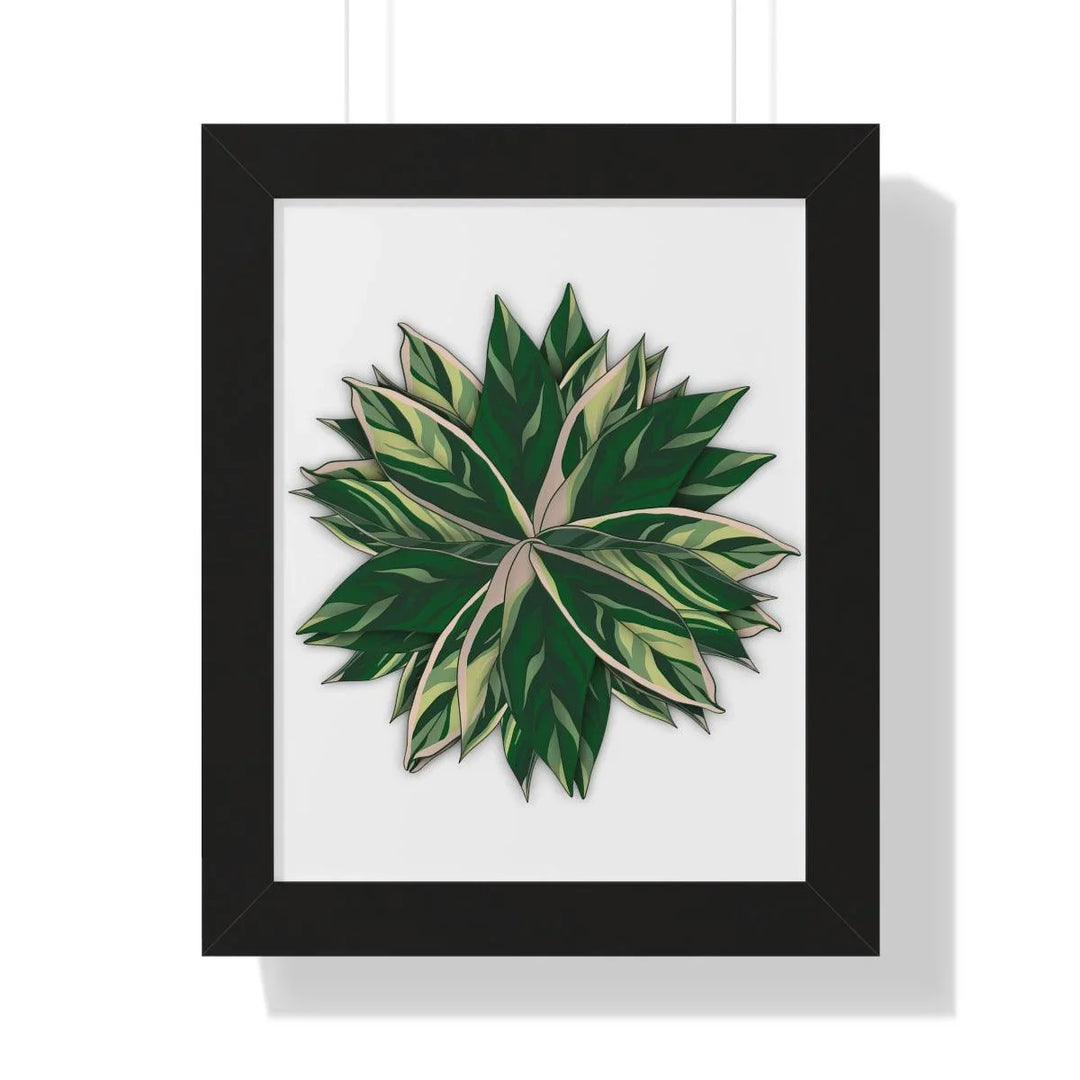 Stromanthe Triostar Framed Print, Poster, Laura Christine Photography & Design, Framed, Home & Living, Indoor, Paper, Posters, Laura Christine Photography & Design, laurachristinedesign.com