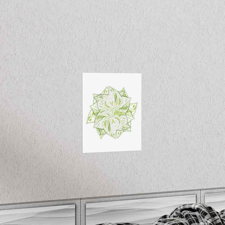 Snow Queen Pothos Print – Variegated Pothos Art on Museum Grade Paper Unframed - The Potted Pixel