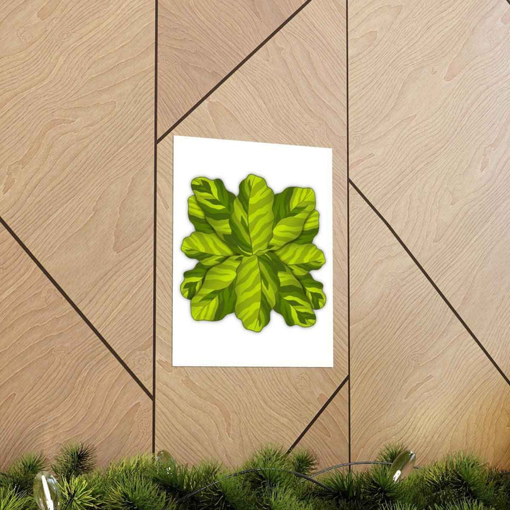 Calathea Yellow Fusion Print – Botanical Wall Art on Museum-Grade Paper Unframed - The Potted Pixel