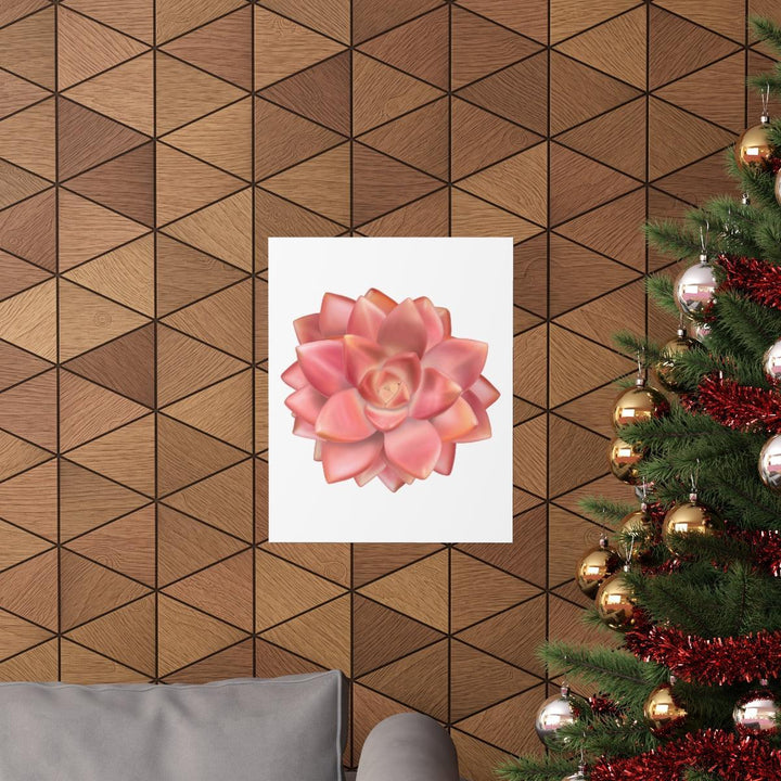 Graptosedum 'California Sunset'  Succulent Print, Poster, Laura Christine Photography & Design, Back to School, Home & Living, Indoor, Matte, Paper, Posters, Valentine's Day promotion, Laura Christine Photography & Design, laurachristinedesign.com