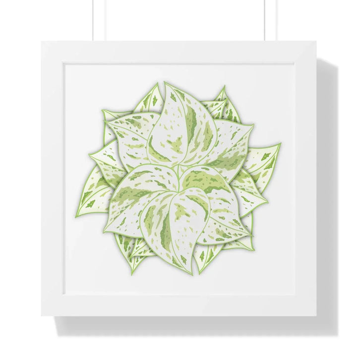 Snow Queen Pothos Framed Print, Poster, Laura Christine Photography & Design, Framed, Home & Living, Indoor, Paper, Posters, Laura Christine Photography & Design, laurachristinedesign.com