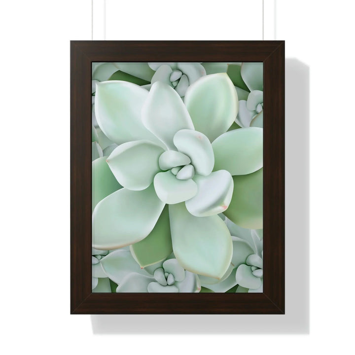 Pachyveria Haagei Succulent Pattern Framed Print, Poster, Printify, Framed, Home & Living, Indoor, Paper, Posters, Laura Christine Photography & Design, laurachristinedesign.com