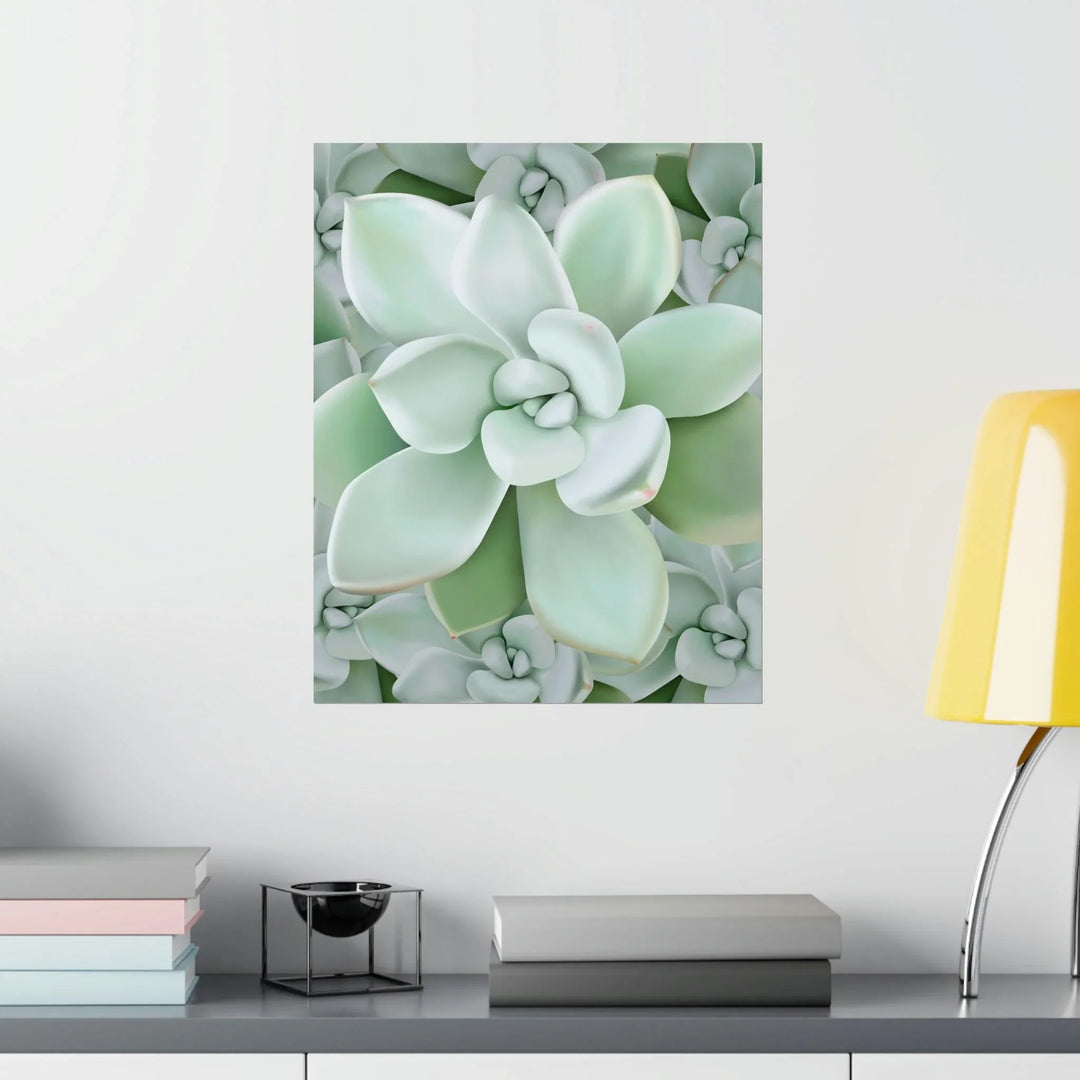 Pachyveria Haagei Succulent Pattern Print, Poster, Printify, Back to School, Home & Living, Indoor, Matte, Paper, Posters, Valentine's Day promotion, Laura Christine Photography & Design, laurachristinedesign.com