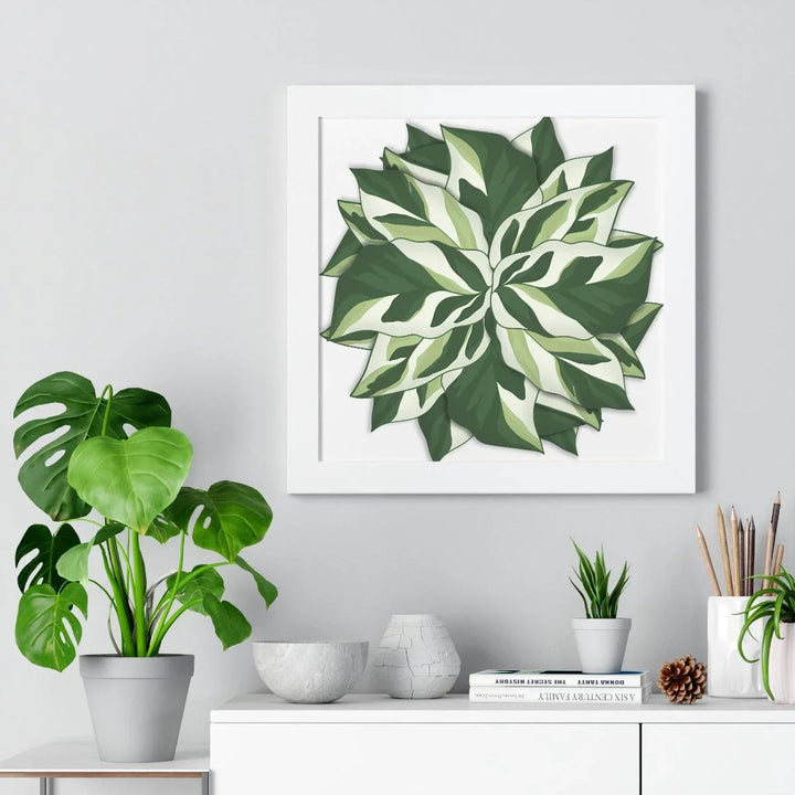 Calathea White Fusion Framed Print, Poster, Laura Christine Photography & Design, Bottle, Calathea, Canvas Bag, Coffee, Drinkware, Framed, Home & Living, Indoor, Paper, Posters, Prayer Plant, Reusable, Shopping Bag, Tea, Tote Bag, Travel, Tumbler, Water, White Fusion, Laura Christine Photography & Design, laurachristinedesign.com