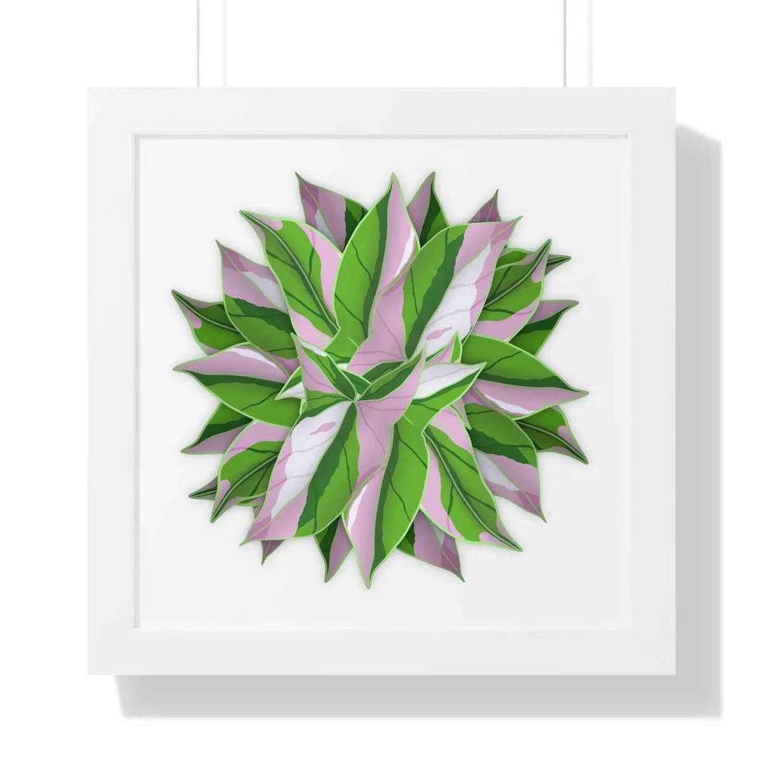 Syngonium Tricolor Print - Framed Botanical Art With Matte Finish & Acrylic Cover - The Potted Pixel