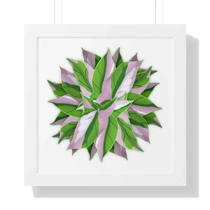 Syngonium Tricolor Print - Framed Botanical Art With Matte Finish & Acrylic Cover - The Potted Pixel