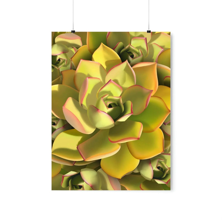 Noble Aeonium Succulent Pattern Print, Poster, Printify, Back to School, Home & Living, Indoor, Matte, Paper, Posters, Valentine's Day promotion, Laura Christine Photography & Design, laurachristinedesign.com