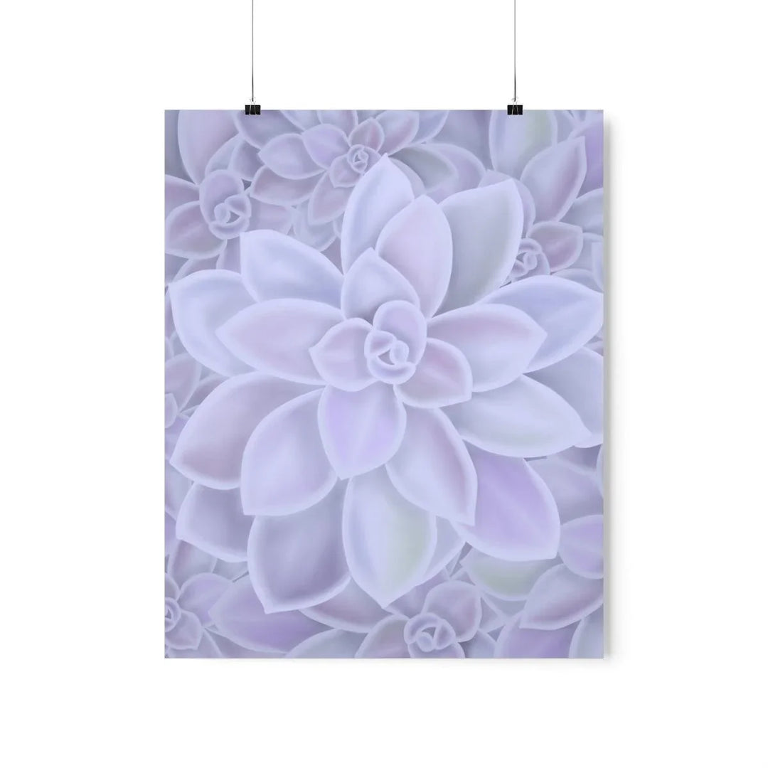 Graptopetalum 'Murasaki' Succulent Print, Poster, Laura Christine Photography & Design, Back to School, Home & Living, Indoor, Matte, Paper, Posters, Valentine's Day promotion, Laura Christine Photography & Design, laurachristinedesign.com