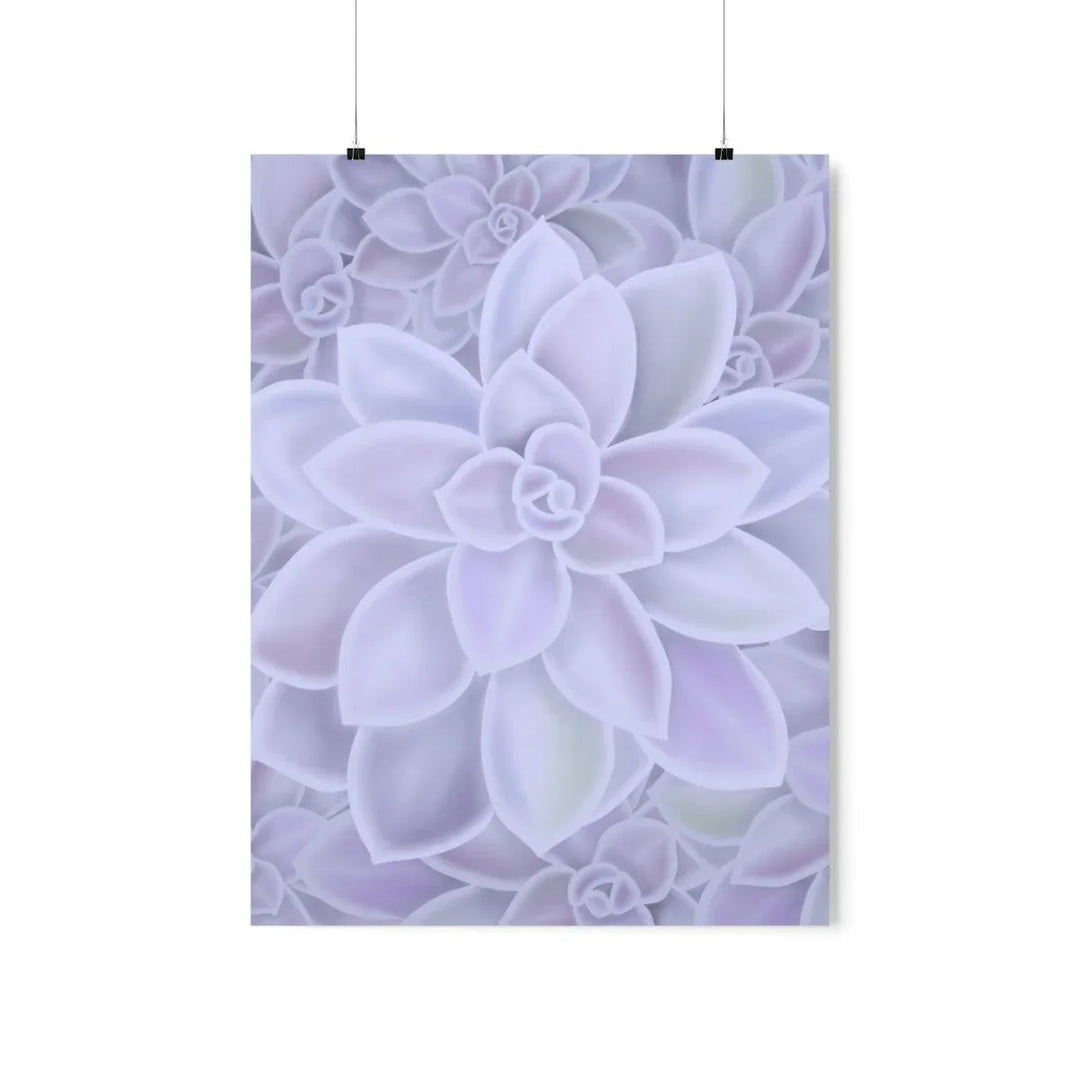 Graptopetalum 'Murasaki' Succulent Print, Poster, Laura Christine Photography & Design, Back to School, Home & Living, Indoor, Matte, Paper, Posters, Valentine's Day promotion, Laura Christine Photography & Design, laurachristinedesign.com