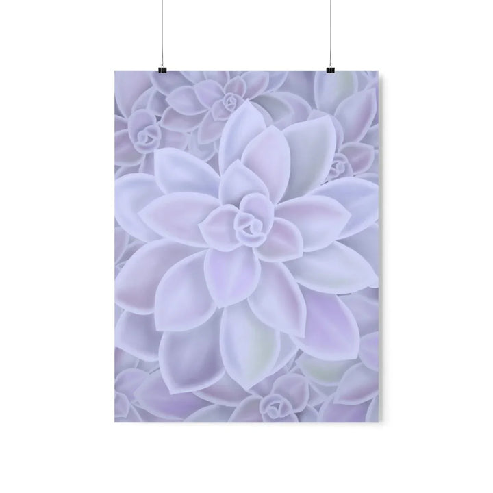 Graptopetalum 'Murasaki' Succulent Print, Poster, Laura Christine Photography & Design, Back to School, Home & Living, Indoor, Matte, Paper, Posters, Valentine's Day promotion, Laura Christine Photography & Design, laurachristinedesign.com