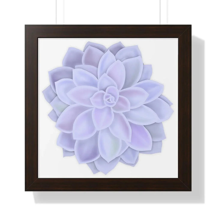 Graptopetalum 'Murasaki' Succulent Framed Print, Poster, Laura Christine Photography & Design, Framed, Home & Living, Indoor, Paper, Posters, Laura Christine Photography & Design, laurachristinedesign.com